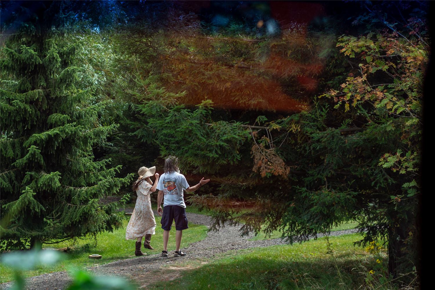 Guests walking on the path through the trees.